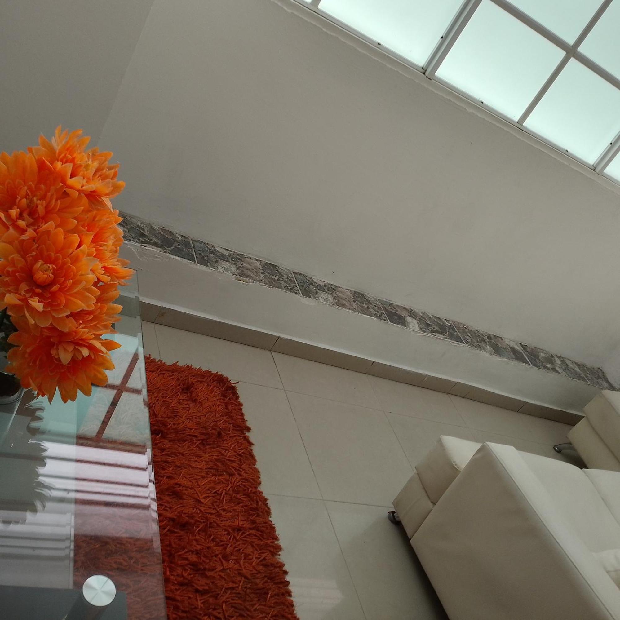 Hotel Avenida53 Barranquilla  Exteriér fotografie